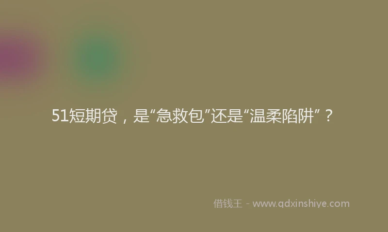 51短期贷，是“急救包”还是“温柔陷阱”？