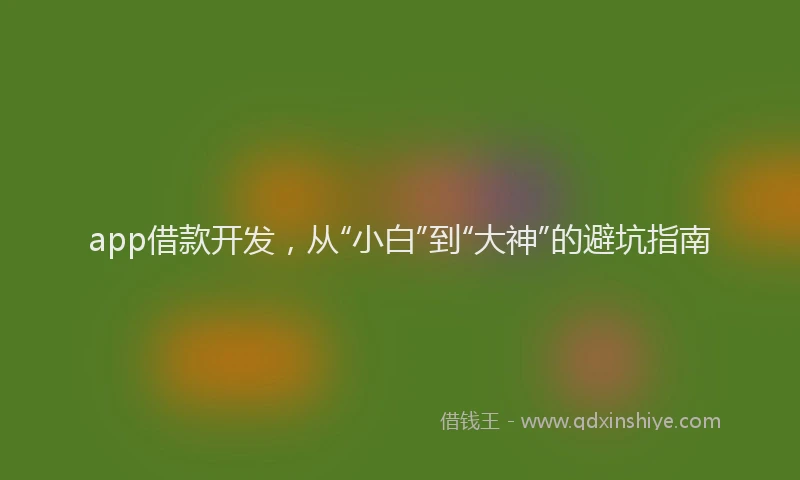 app借款开发，从“小白”到“大神”的避坑指南