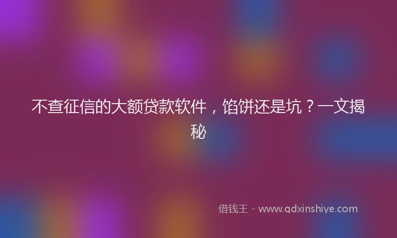 不查征信的大额贷款软件，馅饼还是坑？一文揭秘