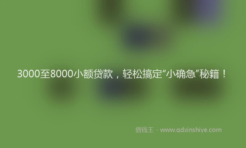 3000至8000小额贷款，轻松搞定“小确急”秘籍！