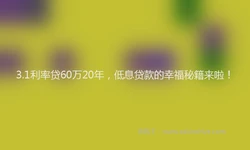 3.1利率贷60万20年，低息贷款的幸福秘籍来啦！