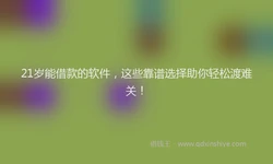 21岁能借款的软件，这些靠谱选择助你轻松渡难关！