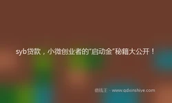 syb贷款，小微创业者的“启动金”秘籍大公开！