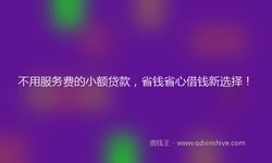 不用服务费的小额贷款，省钱省心借钱新选择！