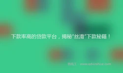 下款率高的贷款平台，揭秘“丝滑”下款秘籍！
