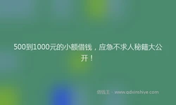 500到1000元的小额借钱，应急不求人秘籍大公开！