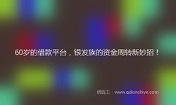 60岁的借款平台，银发族的资金周转新妙招！
