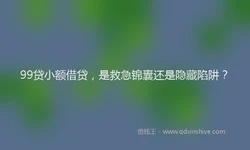 99贷小额借贷，是救急锦囊还是隐藏陷阱？