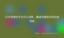 21岁有哪些平台可以贷款，靠谱攻略助你轻松借到钱