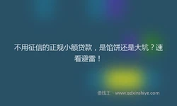 不用征信的正规小额贷款，是馅饼还是大坑？速看避雷！