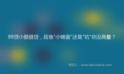 99贷小额借贷，应急“小锦囊”还是“坑”你没商量？