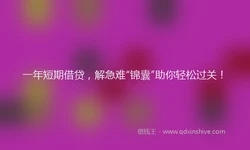 一年短期借贷，解急难“锦囊”助你轻松过关！