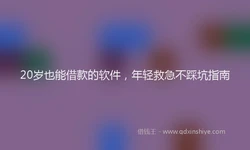 20岁也能借款的软件，年轻救急不踩坑指南