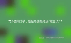 714借款口子，是救急还是掉进“高息坑”？