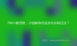700小额贷款，小钱解急但这些坑你踩过没？