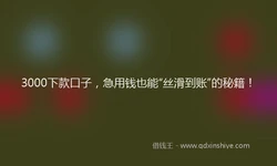 3000下款口子，急用钱也能“丝滑到账”的秘籍！