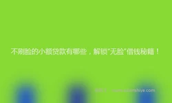 不刷脸的小额贷款有哪些，解锁“无脸”借钱秘籍！