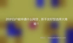 20岁白户能申请什么网贷，新手友好型选择大揭秘！