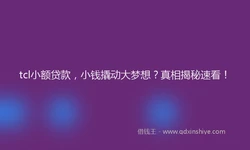 tcl小额贷款，小钱撬动大梦想？真相揭秘速看！
