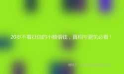 20岁不看征信的小额借钱，真相与避坑必看！