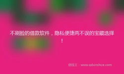 不刷脸的借款软件，隐私便捷两不误的宝藏选择！