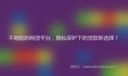 不刷脸的网贷平台，隐私保护下的贷款新选择！