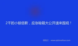 2千的小额借款，应急秘籍大公开速来围观！