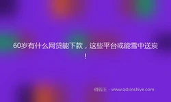 60岁有什么网贷能下款，这些平台或能雪中送炭！