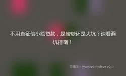 不用查征信小额贷款，是蜜糖还是大坑？速看避坑指南！
