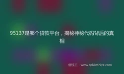 95137是哪个贷款平台，揭秘神秘代码背后的真相
