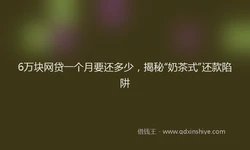 6万块网贷一个月要还多少，揭秘“奶茶式”还款陷阱