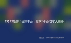 95173是哪个贷款平台，贷款“神秘代码”大揭秘！