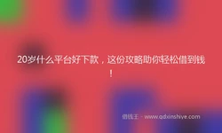 20岁什么平台好下款，这份攻略助你轻松借到钱！