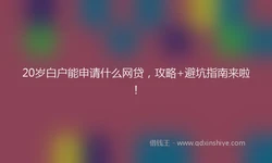 20岁白户能申请什么网贷，攻略+避坑指南来啦！
