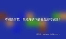 不刷脸借款，隐私守护下的资金周转秘籍！