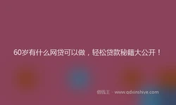 60岁有什么网贷可以做，轻松贷款秘籍大公开！