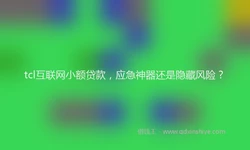 tcl互联网小额贷款，应急神器还是隐藏风险？